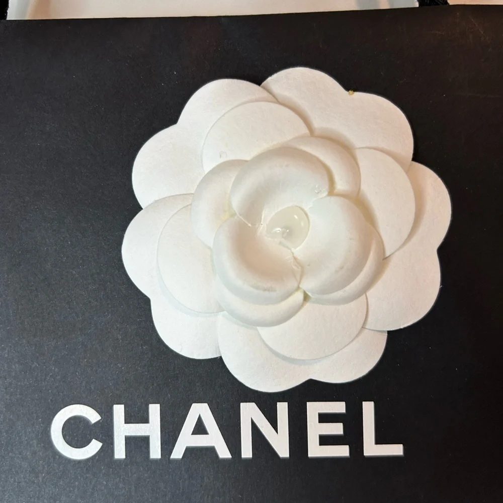 Chanel gift bag small size